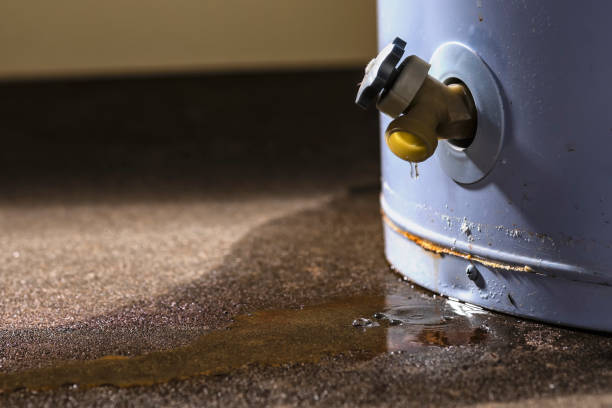 Best Carpet water damage restoration  in Emerald Bay, TX