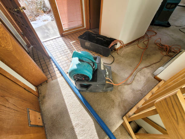 Best Commercial water damage restoration  in Emerald Bay, TX