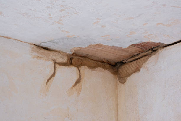 Best Commercial water damage restoration  in Emerald Bay, TX