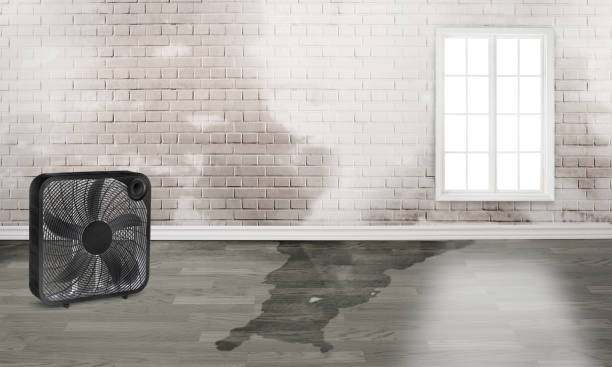 Best Sewage cleanup and water damage restoration  in Emerald Bay, TX