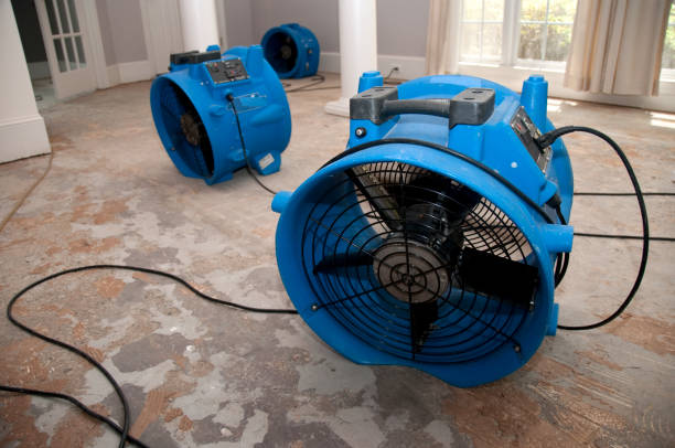 Best 24-hour water damage restoration  in Emerald Bay, TX