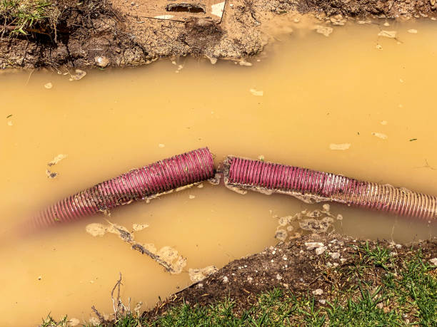Best 24/7 water damage repair  in Emerald Bay, TX